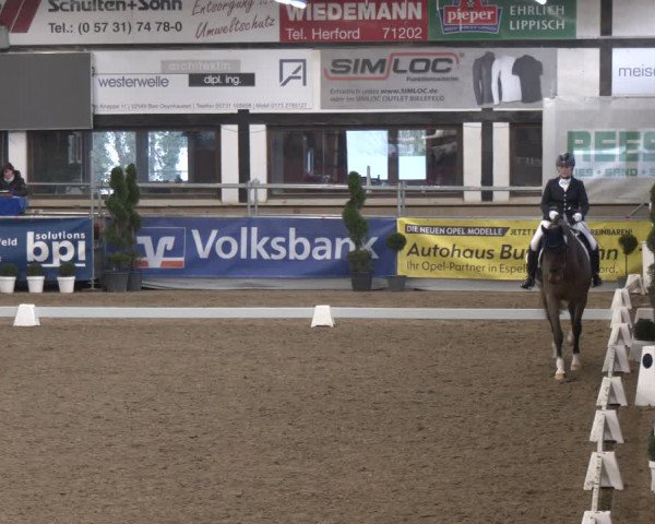 Reitturnier Vlotho-Exter 2024