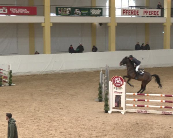 Reitturnier Stadl-Paura 2024
