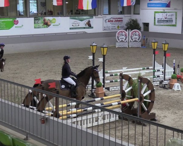 Reitturnier Luhmühlen 2024