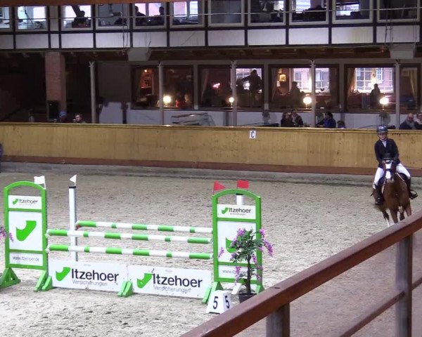 Reitturnier Hamburg-Friedrichshulde/Sylva Kuhrt 2024