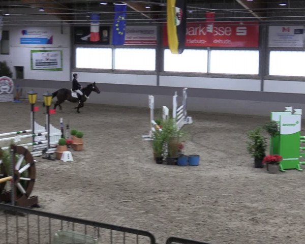 Reitturnier Luhmühlen 2024