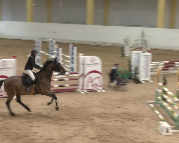 Reitturnier Stadl-Paura 2024