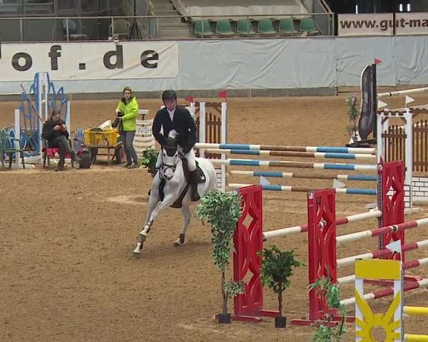 Reitturnier Kreuth/Opf. 2024