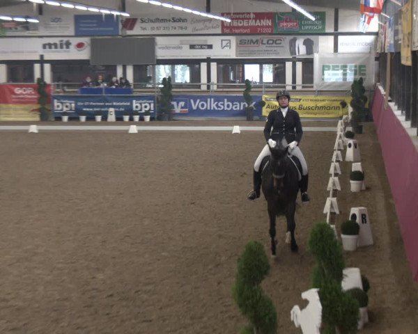Reitturnier Vlotho-Exter 2024