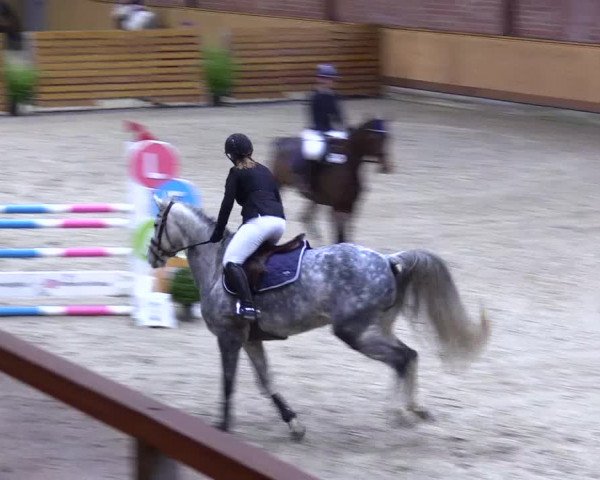 Reitturnier Hamburg-Friedrichshulde/Sylva Kuhrt 2024