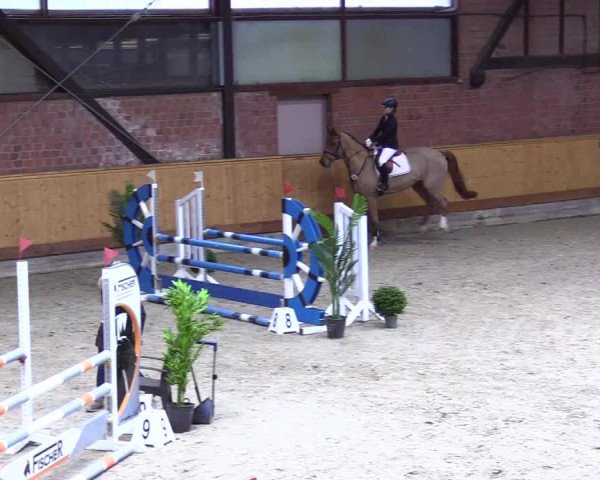 Reitturnier Hamburg-Friedrichshulde/Sylva Kuhrt 2024