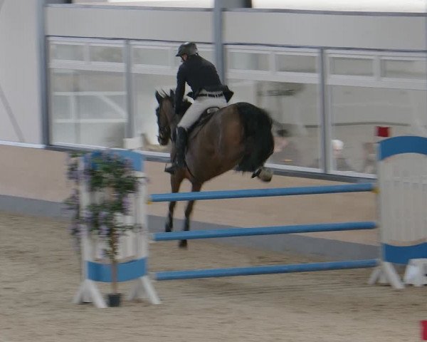 Reitturnier Borken 2024