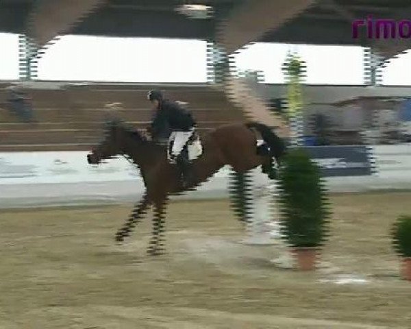 Borken 2011