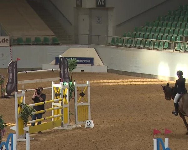 Reitturnier Kreuth/Opf. 2024