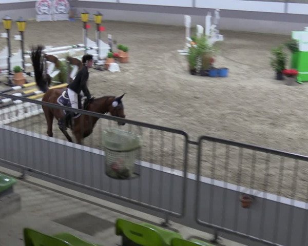 Reitturnier Luhmühlen 2024