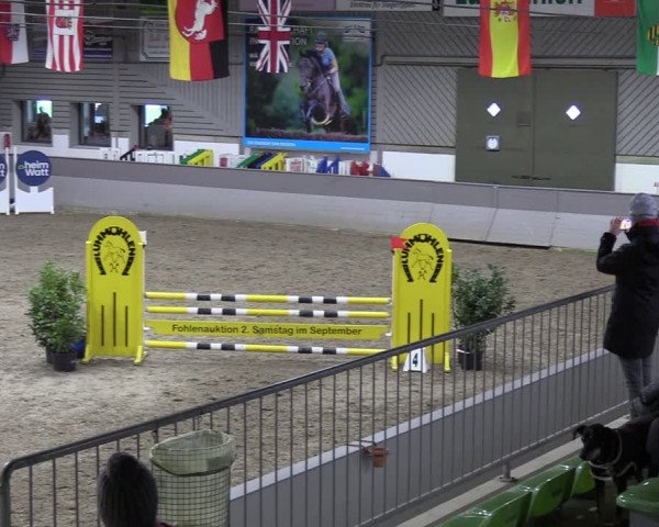 Reitturnier Luhmühlen 2024