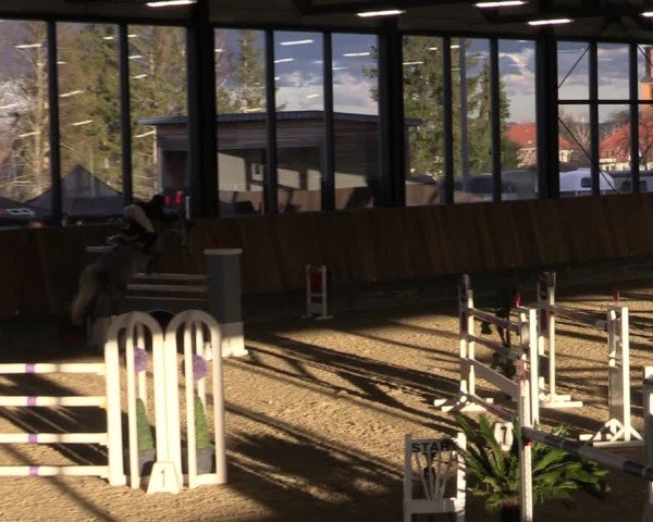 Reitturnier Zwickau 2024