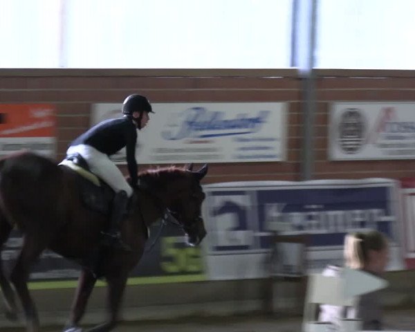 Reitturnier Lembeck 2024