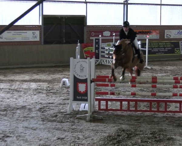 Reitturnier Lembeck 2024
