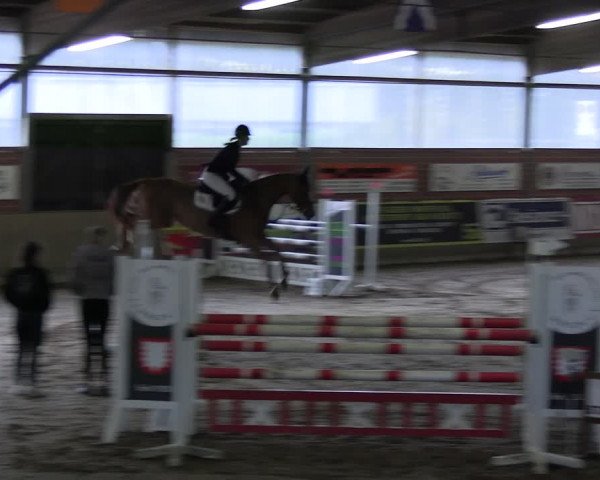 Reitturnier Lembeck 2024