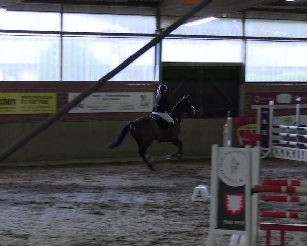 Reitturnier Lembeck 2024