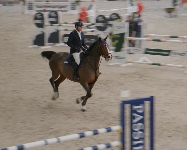 Reitturnier Borken 2024