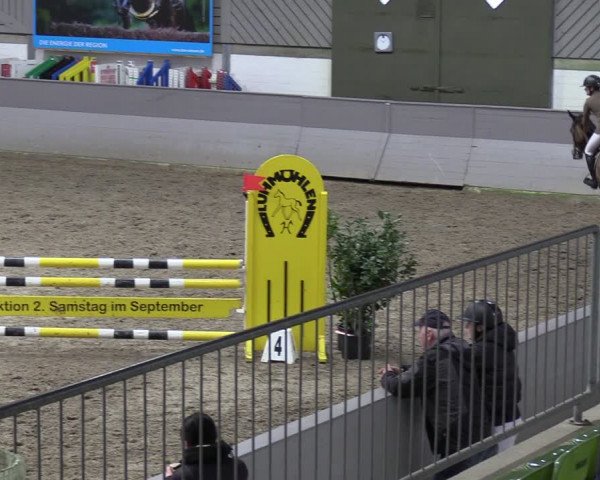 Reitturnier Luhmühlen 2024