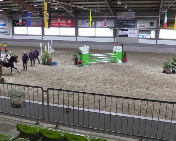 Reitturnier Luhmühlen 2024