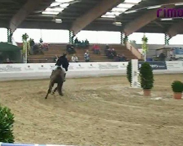 Borken 2011