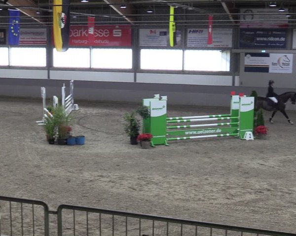 Reitturnier Luhmühlen 2024