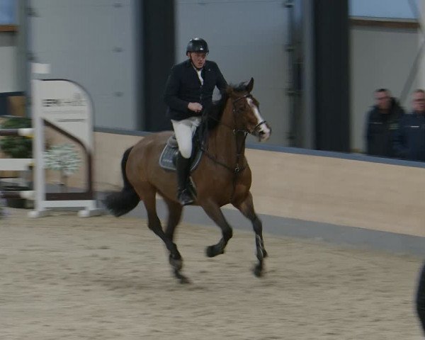 Reitturnier Borken 2024