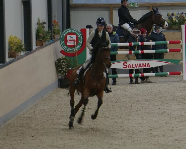 Reitturnier Borken 2024