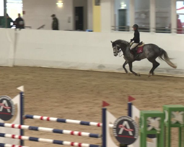 Reitturnier Stadl-Paura 2024