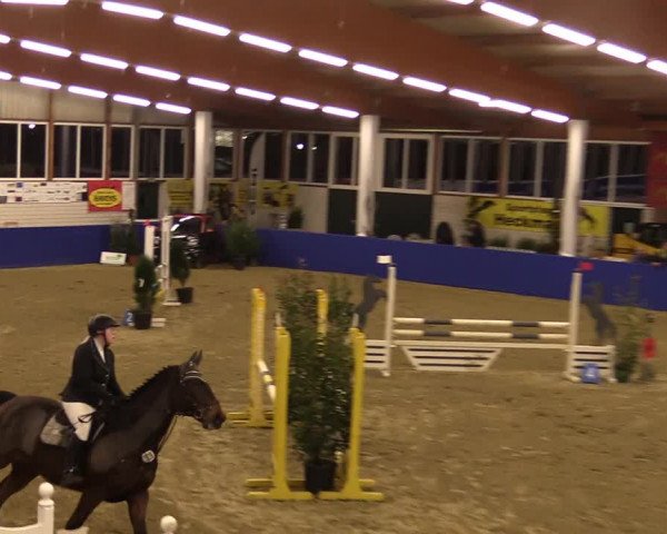 Euregio Springturnier Isterberg 2021