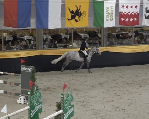 Reitturnier Erlen 2024