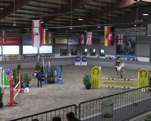 Reitturnier Luhmühlen 2024