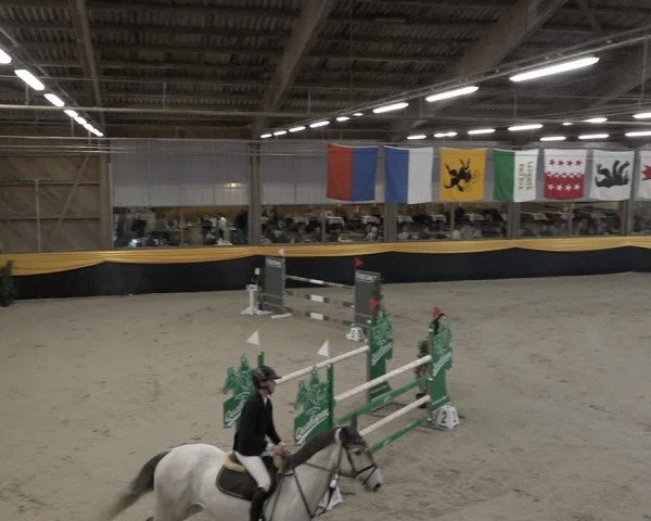 Reitturnier Erlen 2024