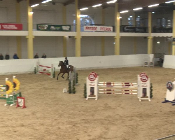 Reitturnier Stadl-Paura 2024