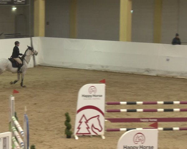 Reitturnier Stadl-Paura 2024