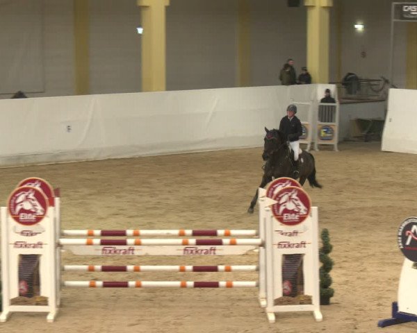 Reitturnier Stadl-Paura 2024