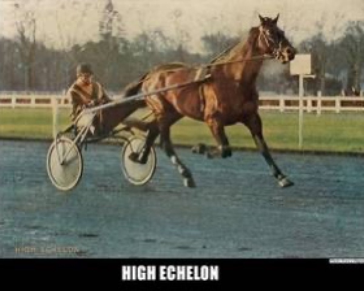 Deckhengst High Echelon (FR) (Französischer Traber, 1973, von Patara (FR))