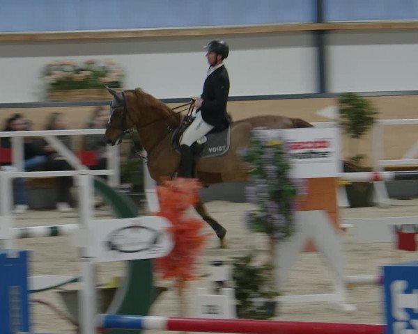 Reitturnier Borken 2024
