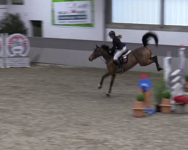 Reitturnier Luhmühlen 2024