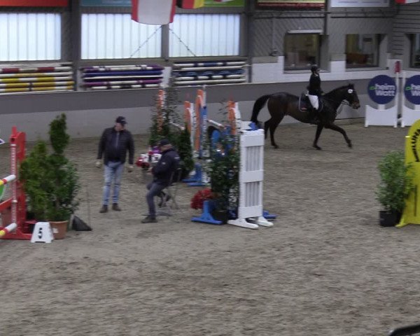 Reitturnier Luhmühlen 2024