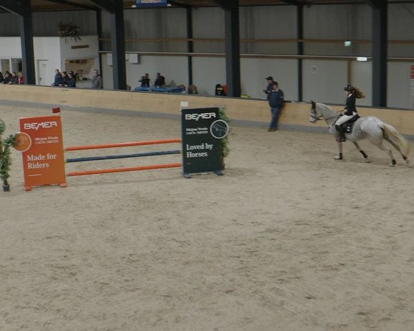 Reitturnier Borken 2024