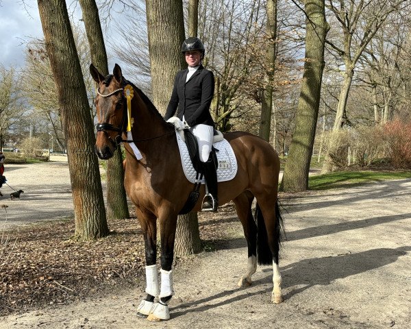 Dressurpferd Belinda 222 (Deutsches Sportpferd, 2018, von Borsalino)