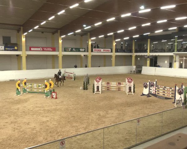 Reitturnier Stadl-Paura 2024