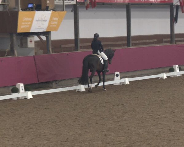 Reitturnier Vlotho-Exter 2024
