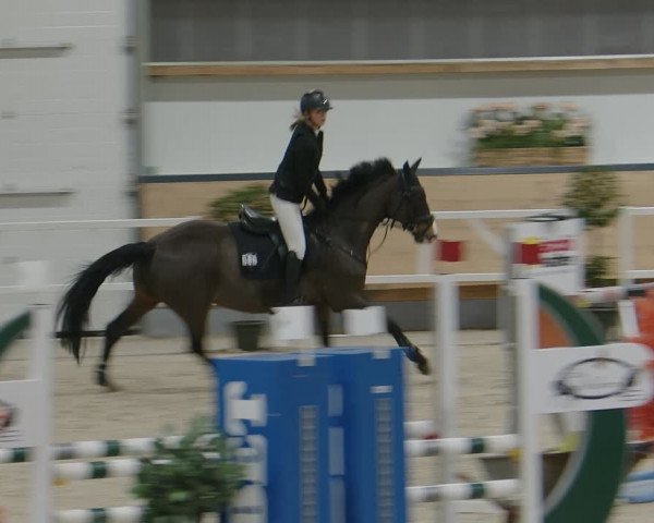 Reitturnier Borken 2024