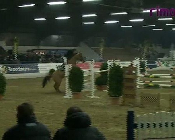Borken 2011