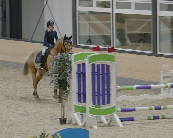 Reitturnier Borken 2024