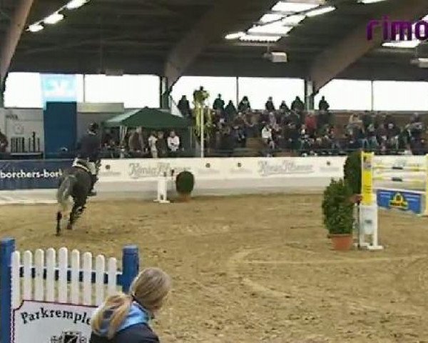 Borken 2011