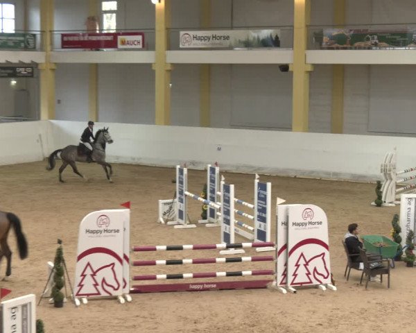 Reitturnier Stadl-Paura 2024