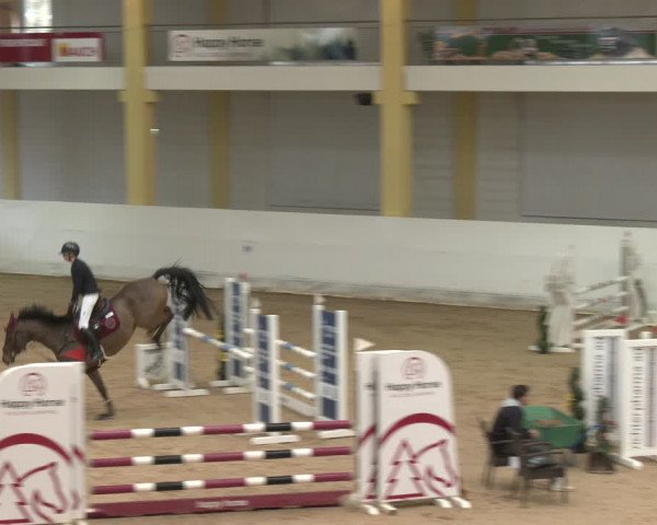 Reitturnier Stadl-Paura 2024