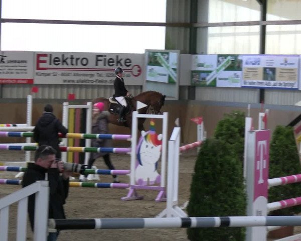 Reitturnier Altenberge 2024